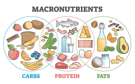 Macro Magic: Counting Macros using MyFitnessPal – A Beginner's Guide